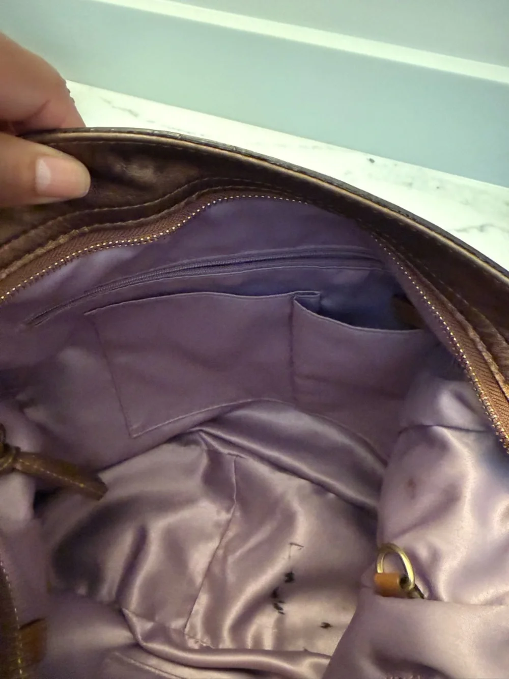 Coach metallic, brown, and tan Zoe bag